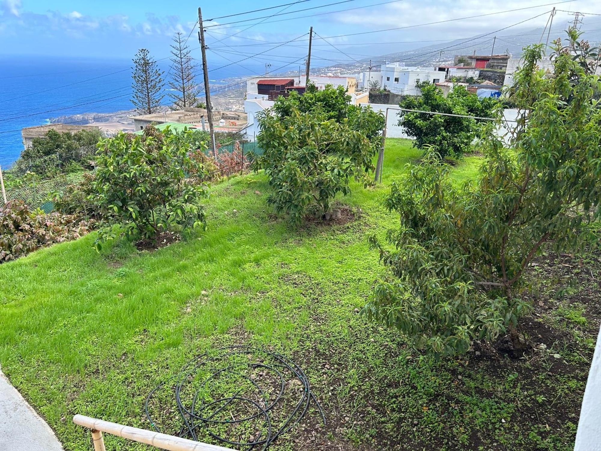 Apartmán Casa La Oliva Garachico  Exteriér fotografie